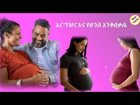 ቪዲዮ: እርግቦች መቼ ነው የሚሸሹት?