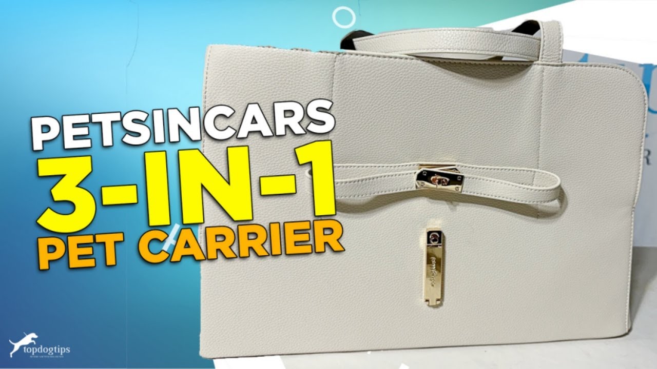 Review: pawsincar 3-in-1 Pet Car  Seat, Carrier and Bed