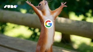 Add Google Sign-In to Your Juno App