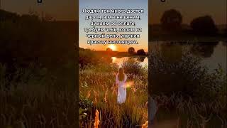 #жизнь #жизненно #люди #вдохновение #цитатыпрожизнь #цитаты #мудрыеслова #мудрыемысли #цитата