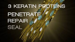 Transform Damaged Hair: The Science Behind Awapuhi Wild Ginger® KeraTriplex® Treatment