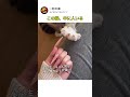 人間になりたかった猫の末路