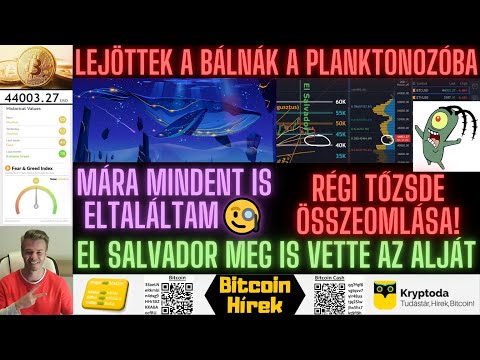 Bitcoin Hírek (320)