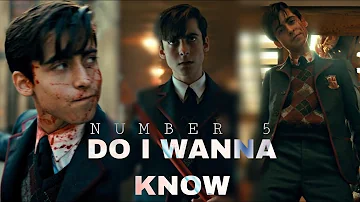 Number 5 || Do I Wanna Know