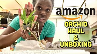 Amazon Orchid Haul and Unboxing | Rare Vanda Orchids For Cheap | Premium Rare Orchids