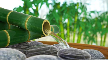 Sleep Sounds Bamboo Water Fountain | Also for Studying & Focus | White Noise 10 Hours