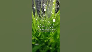 والذين آمنوا وعملوا الصالحات تلاوه خاشعه للقارئ بدر التركي