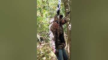 Deer hunting recurve bow #shorts