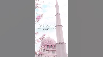 حالات واتس قرآن| القارئ شريف مصطفى