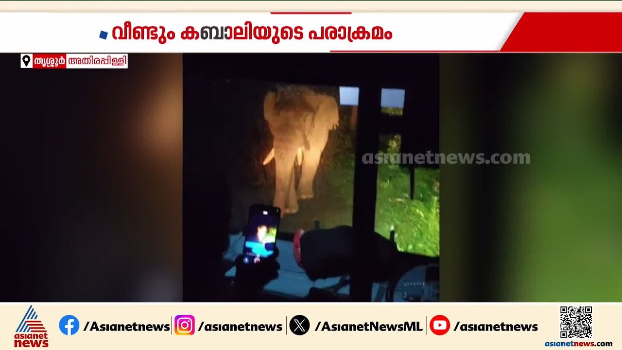 തുടർച്ചയായ മൂന്നാം ദിവസവും വഴിമുടക്കി കബാലി; കെഎസ്ആർടിസി ബസിന് നേരെ പരാക്രമം | Kabali