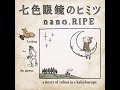 nano.RIPE - こたえあわせ