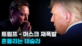 트럼프-머스크 재폭발. 테슬라 주가 전망은.