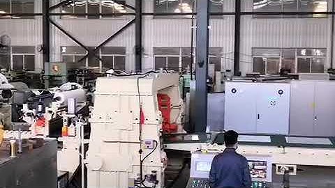 cut to length line rotary shear