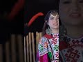 Rababi Malang Ho Laila Khan 2024 New Pashto Song