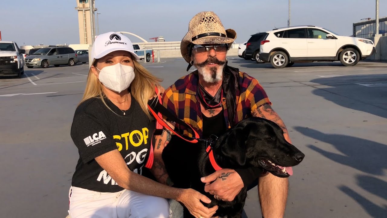 Rescued Dog Blossom Arrives in the US to Start a New Life!