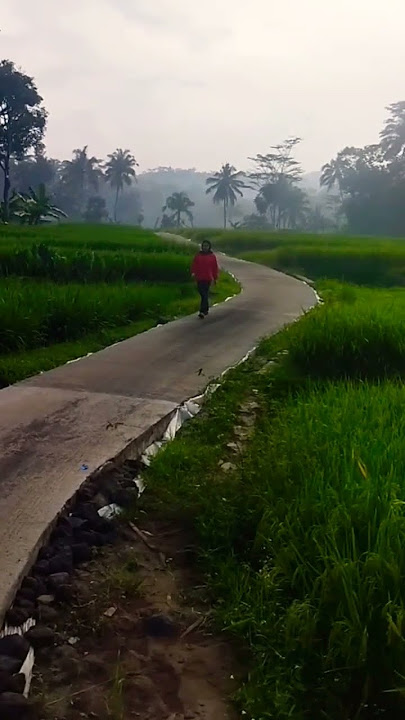 indahnya alam pedesaan di pagi yang cerah #shorts #pemandanganalamindonesia #malangbong #garut