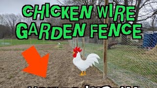 EASY How To Install a Chicken Wire Garden Fence  (By Yourself!)