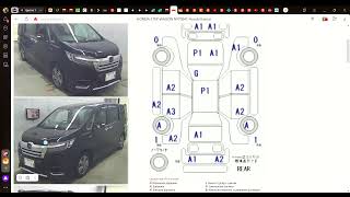 Обзор цен авто с японских аукционов на сегодня Toyota Probox, Honda StepWagon и Freed 2019 г