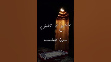 الشيخ محمد الليثي سورة فصلت