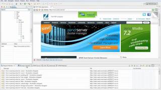 Browser Tools for Web Developers in Zend Studio 8