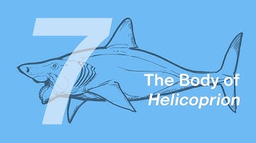 Haylee the Helicoprion 7: Body | Learn to Draw Marine Animals with ZHAO Chuang