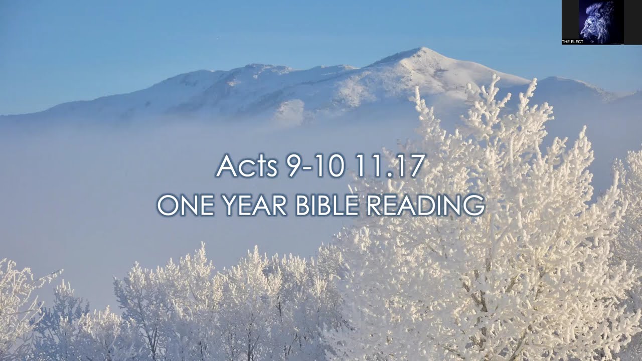 Acts 9-10 11.17 ONE YEAR BIBLE READING