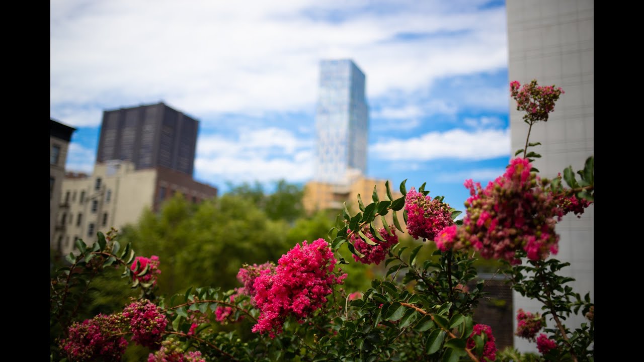 Ignacio House Renovations Are Complete! YouTube