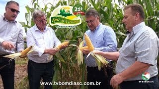 Dia de Campo Copercampos 2016