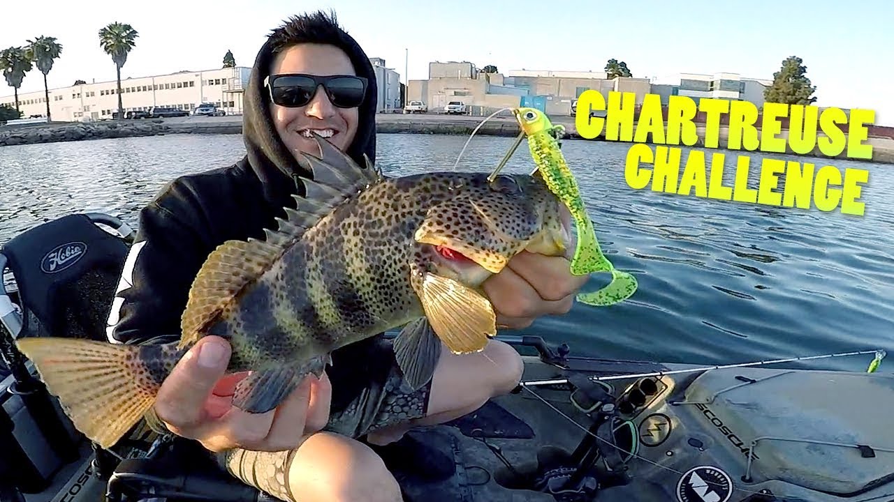CHARTREUSE Challenge - How to fish the Underspin 