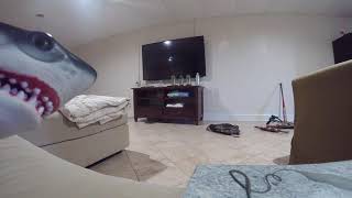 Tv Time Shark Puppet