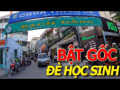 Video Thương tâm CÂY PHƯỢNG BẬT GỐC đè học sinh trường THCS... - YouTube