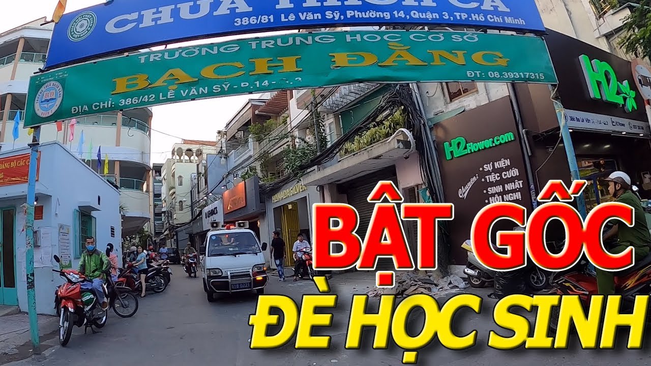 Thương tâm CÂY PHƯỢNG BẬT GỐC đè học sinh trường THCS BẠCH ĐẰNG trương minh giản SÀI GÒN