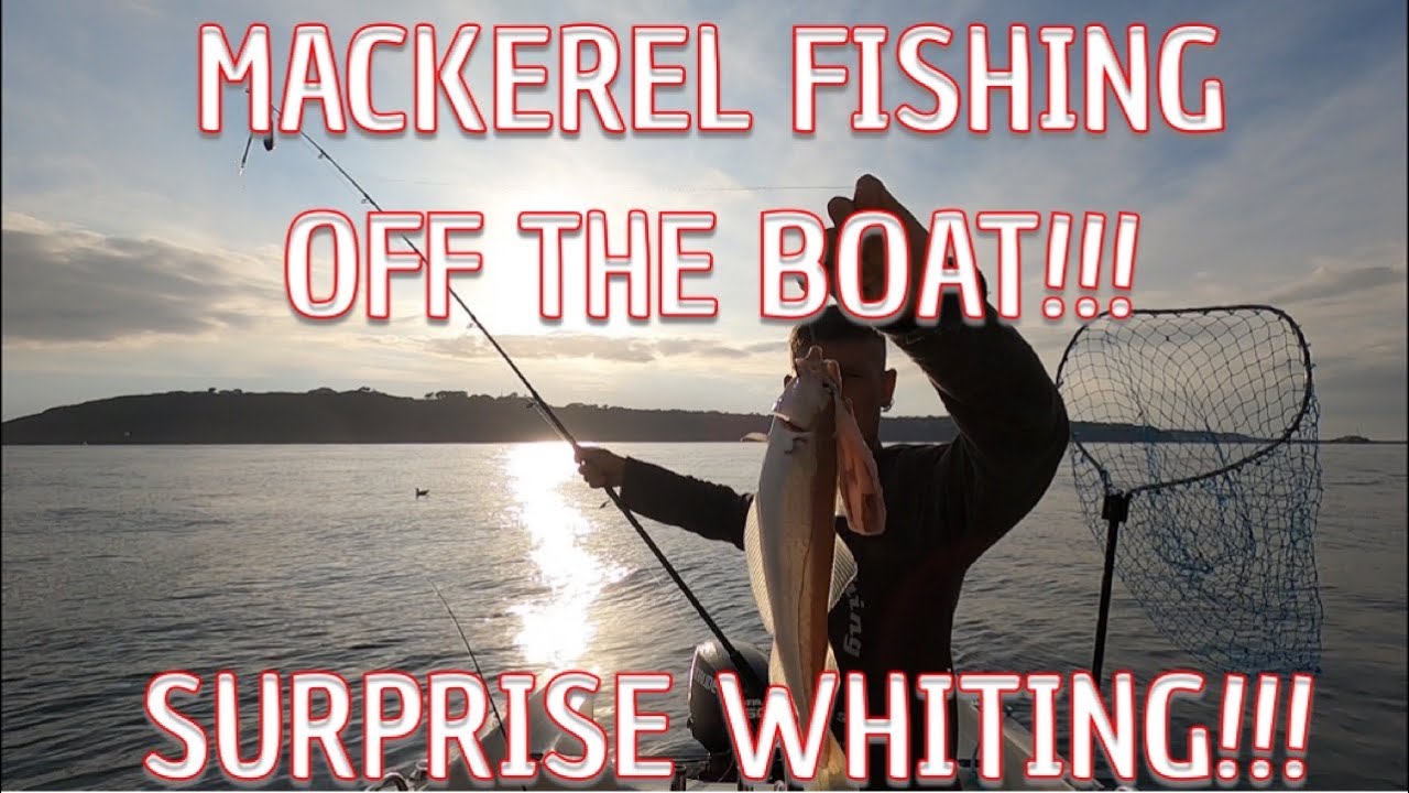 Small Boat Fishing Mackerel Fishing And Drifting For Turbot!!! YouTube
