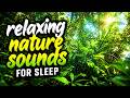 Deep Sleep in Minutes 🌙 Relaxing Nature Sounds for Sleep, Stress Relief & Peaceful Night Rest