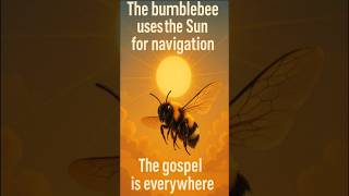 Is God Really Love? screenshot 5