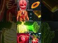 Food as Medicine | Red Bell Pepper for Eyes, Sardines for Joints, Yogurt for Gut &amp; Almonds for Heart