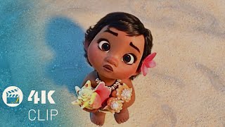 Baby Moana is adorable HD video clip