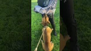 Modelo’ s first bite work session