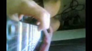 Fucking Hostile Cover -Guitar Cam