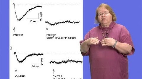 Eve Marder (Brandeis University) Part 2: Neuromodulation