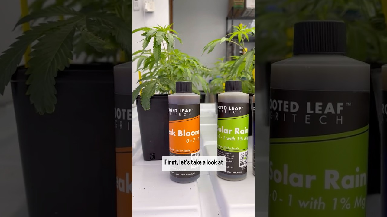 Learn about Rooted Leaf Agritech Foliar Sprays! 