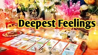 ✨🍀Deepest Feelings Next Action With Angel Guidance🍀✨All Signs Collective Timeless Tarot 🌈
