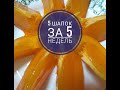 Шапка тыковка и шапка жаккард // шапок 5 за 5 недель