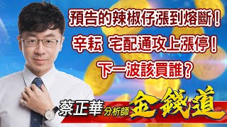 中視【金錢道】20220110 #蔡正華：預告的辣椒仔漲到熔斷！辛耘、宅配通攻上漲停！下一波該買誰？ #中視 #中視新聞 #金錢道 #摩爾證券投資顧問