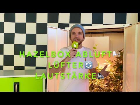 Hazelbox Growbox häufige Fragen zum Thema Abluft, Lüfter, Geruch, Filter und Lautstärke erklärt