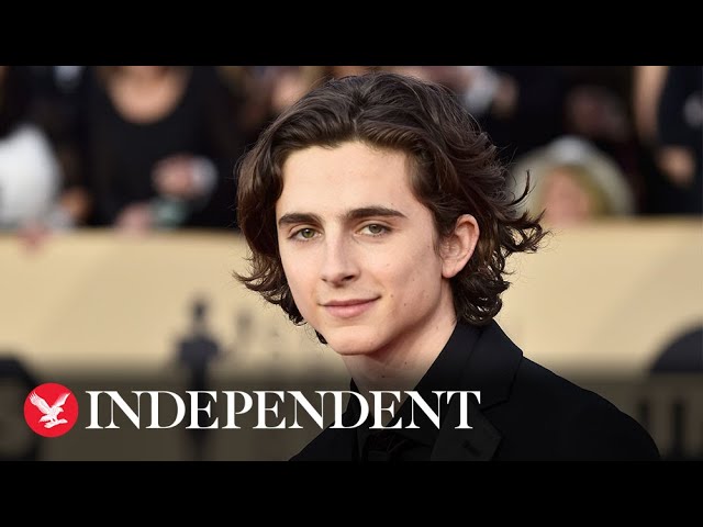 Timothée Chalamet on love, loss and isolation in Bones and All