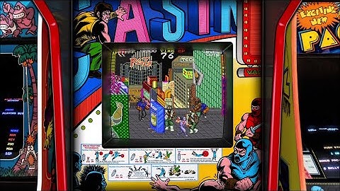 Ninja Gaiden, Realistic Arcade Bezel using The Mega Bezel Shader