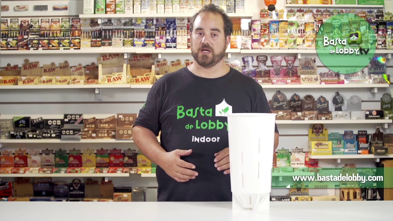 Mad Rocket 10L Basta de Lobby TV