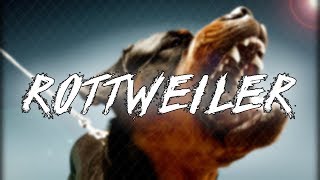 'ROTTWEILER' | HARD Agressive TRAP RAP Instrumental Beat #44 | Instru Rap Lourd !