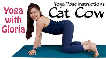 How to do Cat Cow Tutorial